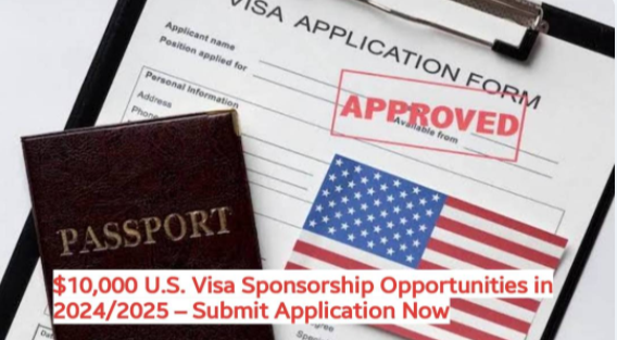 $10k U.S Visa Sponsorship Opportunities